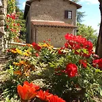 Villa Ai Cedri *