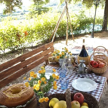 Ai Cedri * Cortona