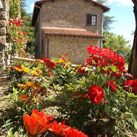 Villa Ai Cedri *